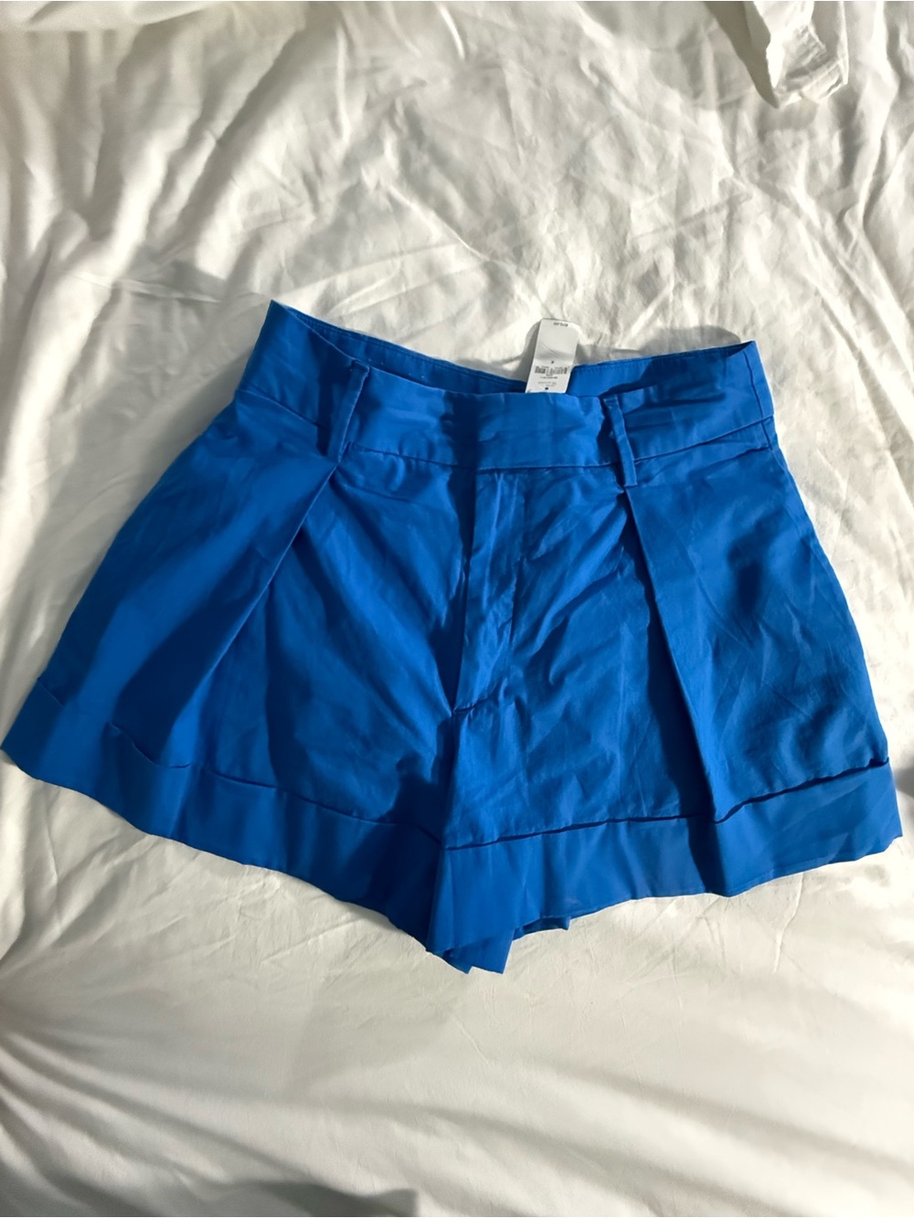 NWT Banana Republic Factory Pleated Shorts Size 6 Blue